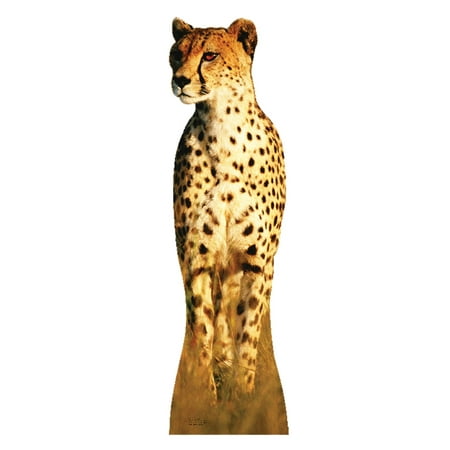 Cheetah Cardboard Stand-Up, 4ft