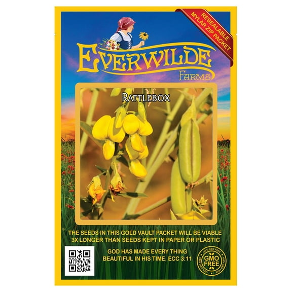 Everwilde Farms - 100 Rattlebox Native Wildflower Seeds - Gold Vault Jumbo Bulk Seed Packet