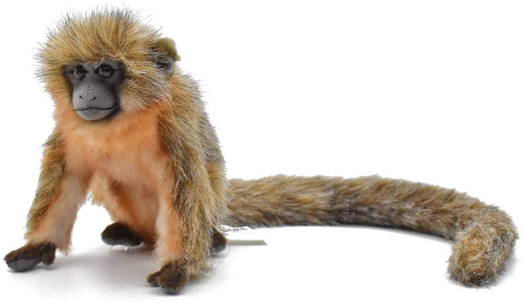 hansa monkey