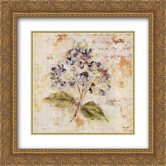 White Washed Hydrangea 2x Matted 16x16 Gold Ornate Framed Art Print by Cheri Blum