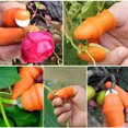 thumbnail image 3 of 1 Set 18 PCS Thumb Silicone Thumb Finger Separator Finger Tools with Finger Cover for Gardening Harvesting, 3 of 10