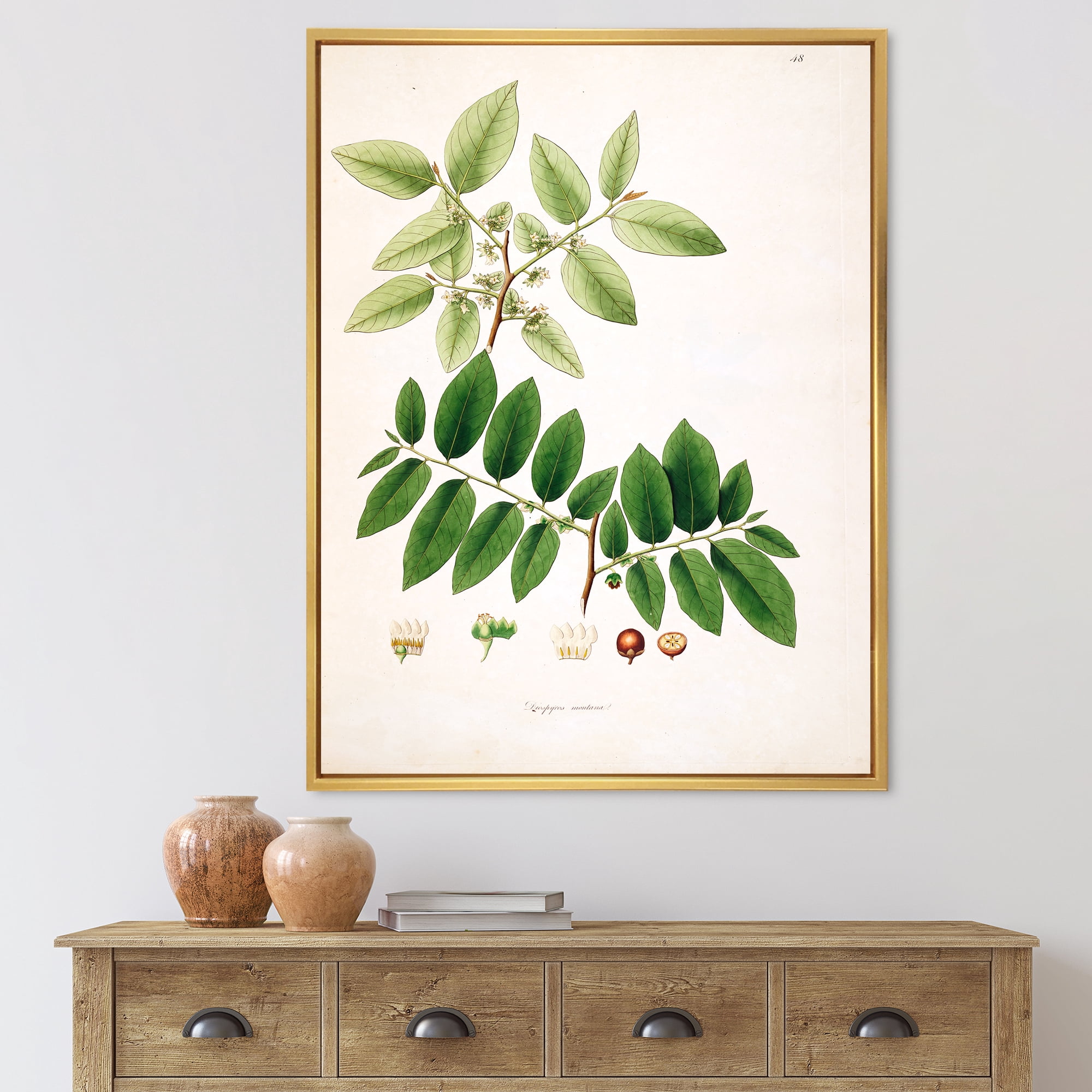 Designart 'Ancient Botanicals XIV' Farmhouse Framed Canvas Wall Art Print