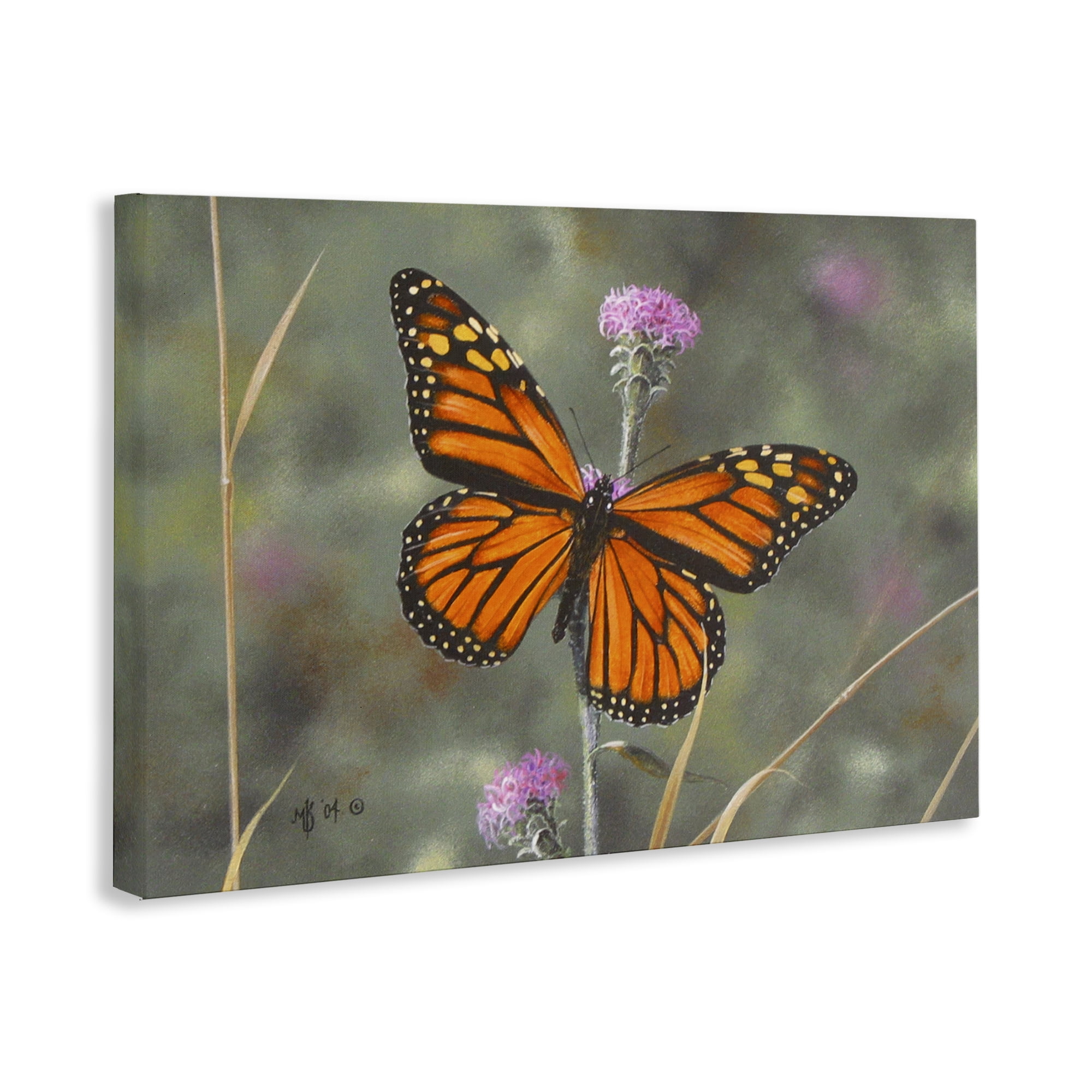 Stupell Industries Summer Visitor Butterfly Animals Photography Wrapped Canvas Art Print Wall Art, 45 x 30