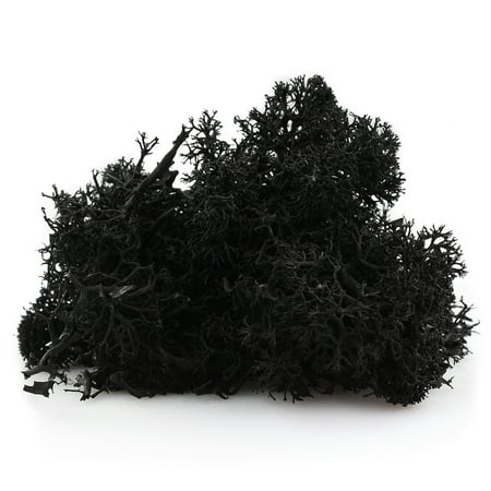 NW Wholesaler, 1 LB bag of Black Preserved Reindeer Moss For Floral Design, Terrariums, Fairy Gardens, Arts and Crafts