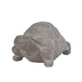 thumbnail image 5 of Cement Turtle Figurine In Concrete Finish, Gray, 5 of 5