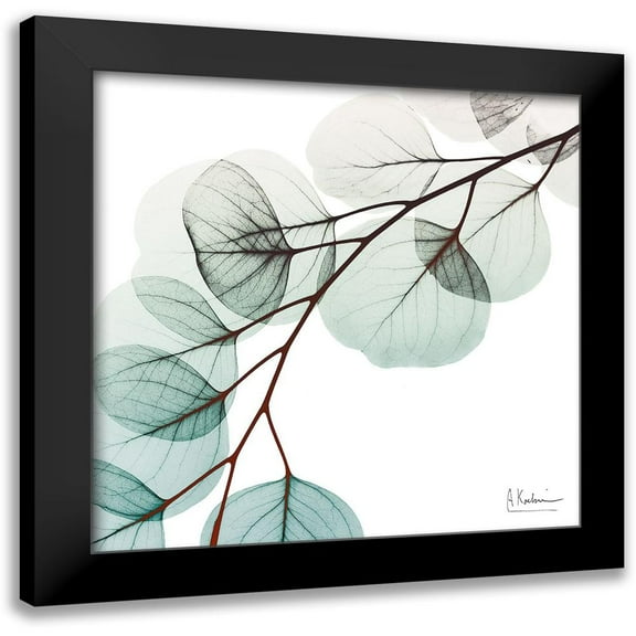 Koetsier, Albert 12x12 Black Modern Framed Museum Art Print Titled - Extravagant Eucalyptus 1