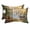 Gold Blue Green, variant on Nature Forest Outdoor Pillows for Chaise Lounge Chair Waterproof Lumbar Pillows with Insert&Adjustable Strap Beach Headrest Pillow Elephants Flamingos Bird Waterfall Scenery Pool Pillow 11"x16"