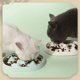 thumbnail image 2 of Pure Color Simple Slow Food Plate Slow Food Anti-choking Device Cat Bowl Dog Bowl Pet Supplies Pet Bowl Pet Accessories Cat Bowl ShopWise Round, 2 of 7
