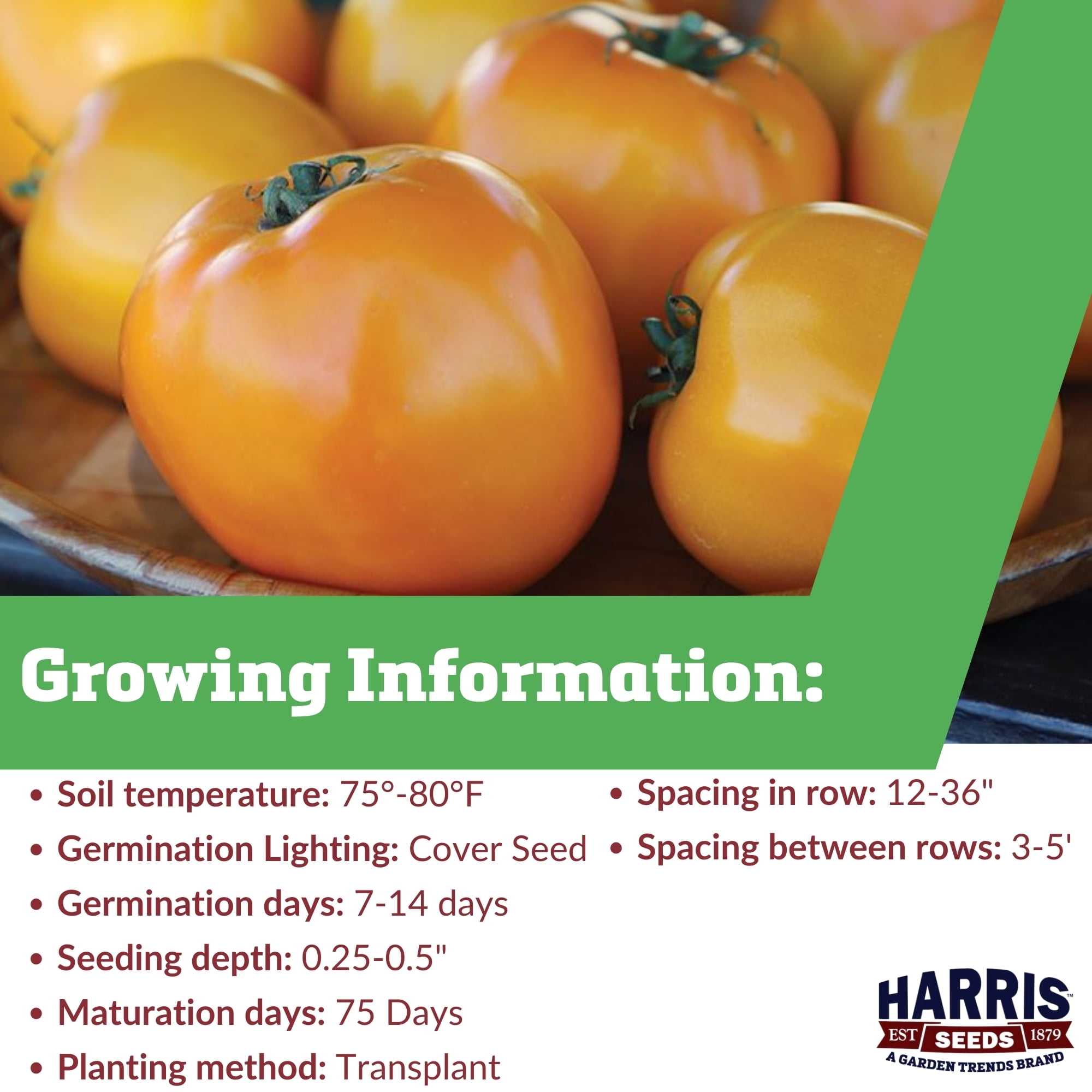 Harris Seeds Tomato Carolina Gold F1 Pelleted, Golden Yellow Fruit, 1,000 Count