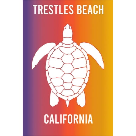 

Trestles Beach California Souvenir 2x3 Inch Fridge Magnet Turtle Design