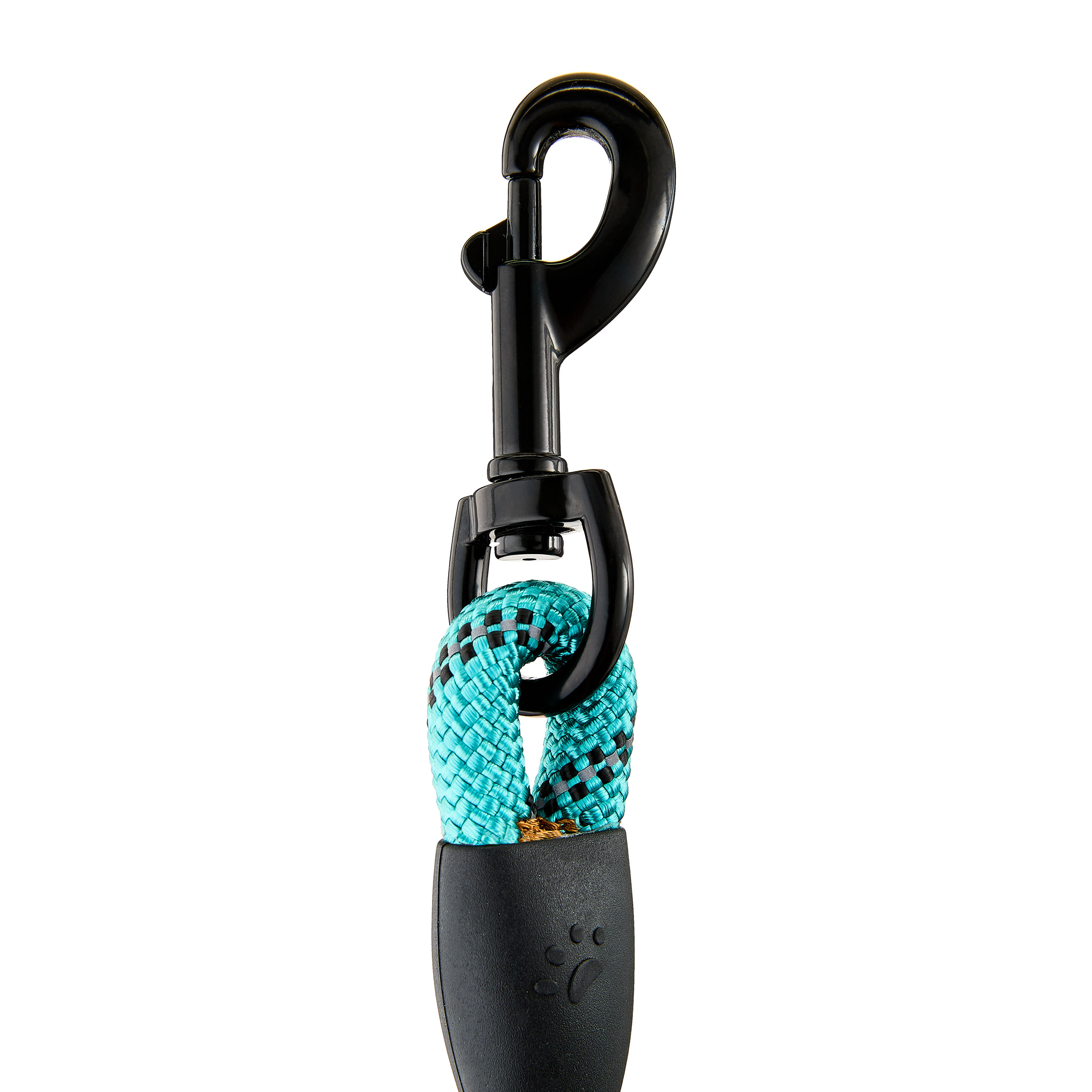 Vibrant Life 6' Neoprene Cushioned Rope Dog Leash, Teal