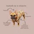 thumbnail image 2 of Sudadera De Jerga Afelpada Para Mascota (7, 8, 9), 2 of 4