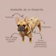 thumbnail image 2 of Sudadera De Jerga Afelpada Para Mascota (7, 8, 9), 2 of 4