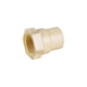 thumbnail image 1 of Conector Adaptador Hembra 3/4" CPVC Rosca Interior Bolsa Con 20 PZS, 1 of 4