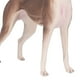 thumbnail image 5 of Figura De Galgo Mascota, Figura De Galgo Realista Mascota Modelo De Perro Galgo Modelo De Juguete De Galgo Aspecto Llamativo, 5 of 8