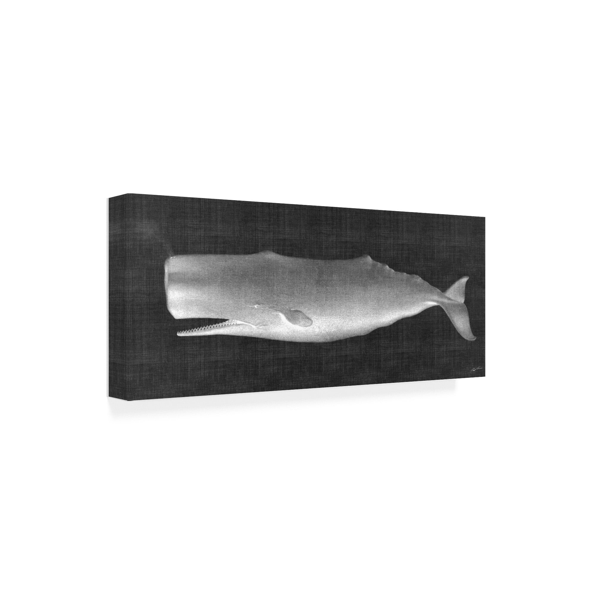 Trademark Fine Art 'Whale Watching II' Canvas Art by John Butler