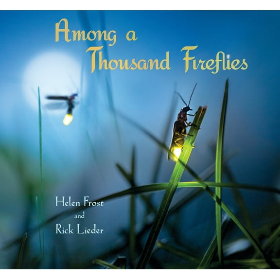 Step Gently, Look Closely Among a Thousand Fireflies, (Hardcover)