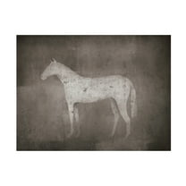 Trademark Fine Art 'White Horse on Grey' Canvas Art by Ryan Fowler