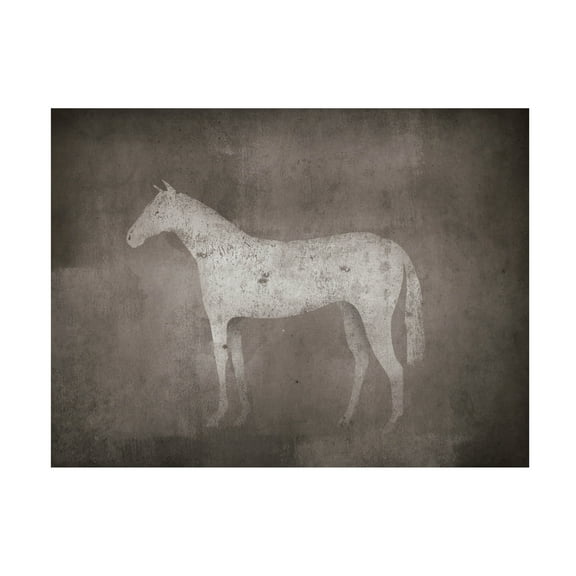 Trademark Fine Art 'White Horse on Grey' Canvas Art by Ryan Fowler