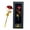 black box red rose, variant on CCMAOLU 24K Gold Rose,Luxury Eternal Rose in Gift Box,Romantic Day Gifts for Her,Wife,Girlfriend,Eternal Preserved Flower for Anniversary,Mother's Day,Gold Dipped Rose
