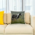 thumbnail image 2 of 3drose, Horse in Nebraska Sandhills, Sunflowers - Us26 Gha0091 - Gayle Harper, 16x16 inch Pillow Case, 2 of 5