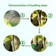 thumbnail image 3 of Cinta de injerto, 2 rollos de cinta de injerto transparente, cinta elástica para injerto de pies, cinta de injerto para reparación de árboles de jardín oso de fresa Electrónica, 3 of 5