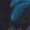 Black-1, variant on Cozymy Women's Florida Palm Beach 1990 Vintage Washed Short Sleeve T-Shirt Retro Summer Graphic Crewneck Casual Cotton Top
