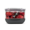 thumbnail image 5 of ProKeeper+ by Progressive Stackable Produce ProKeeper Storage Container with Stay-Fresh Vent System (PKS-912 (1.2 qt Berry Keeper)), 5 of 7