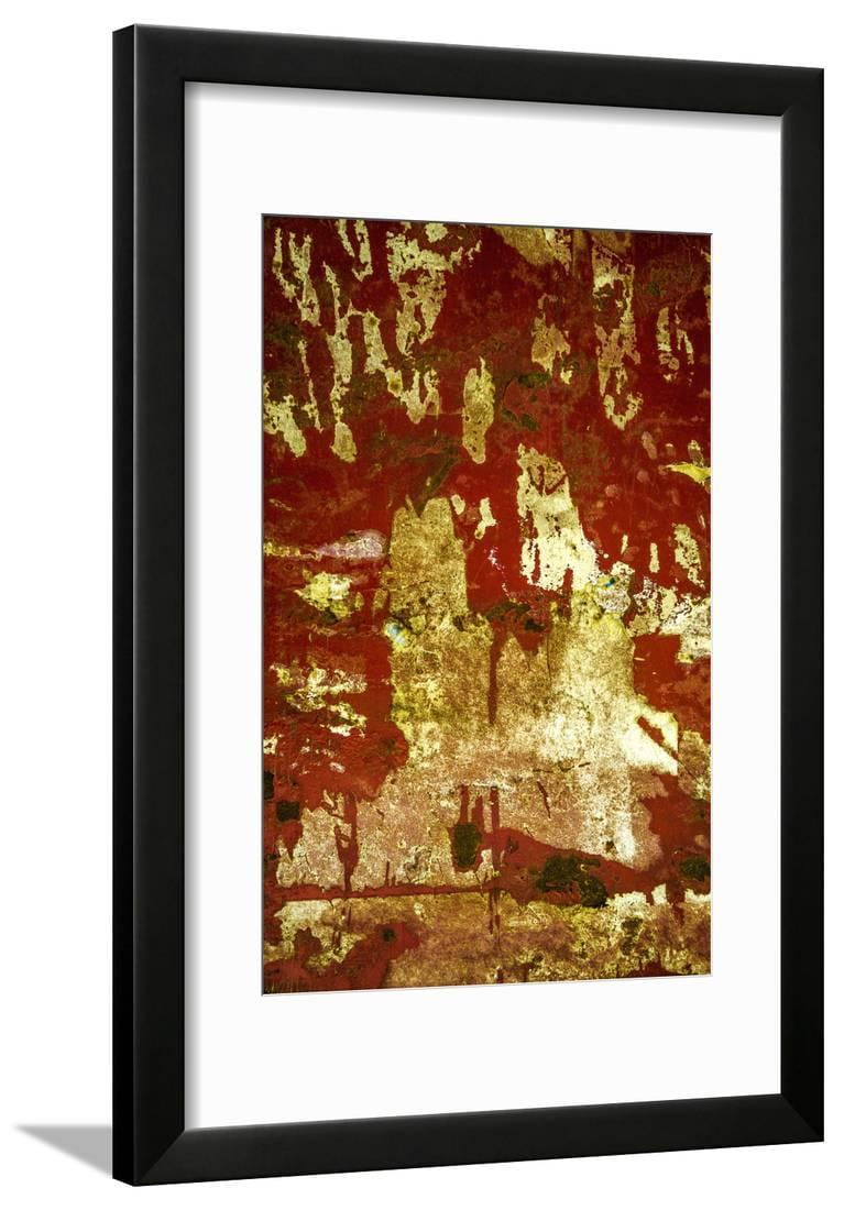 A Study in Red and Gold Framed Print Wall Art by Art Wolfe Sold by Art