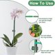 thumbnail image 2 of Plant Stakes Sets, Plant Sticks with Connect Pipe for Indoor and Outdoor Plants, Green Adjustable P, 2 of 4