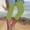 Green, variant on Capri Leggings for Women Summer Rhinestone Dressy Cropped High Waist Yoga Pants Workout Pants Compression Leggings
