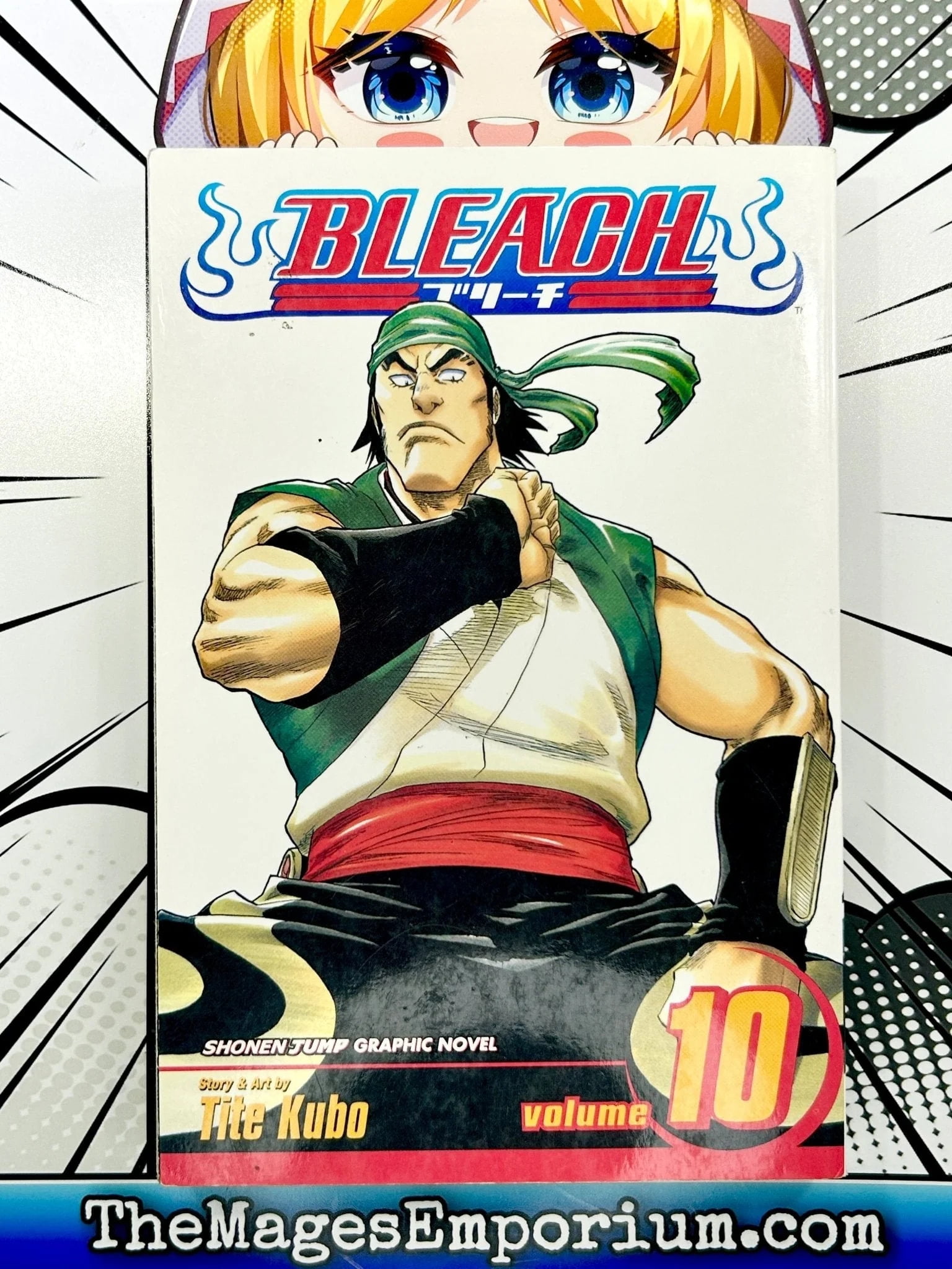Bleach Bleach, Vol. 10: Tattoo on the Sky, Book 10, (Paperback
