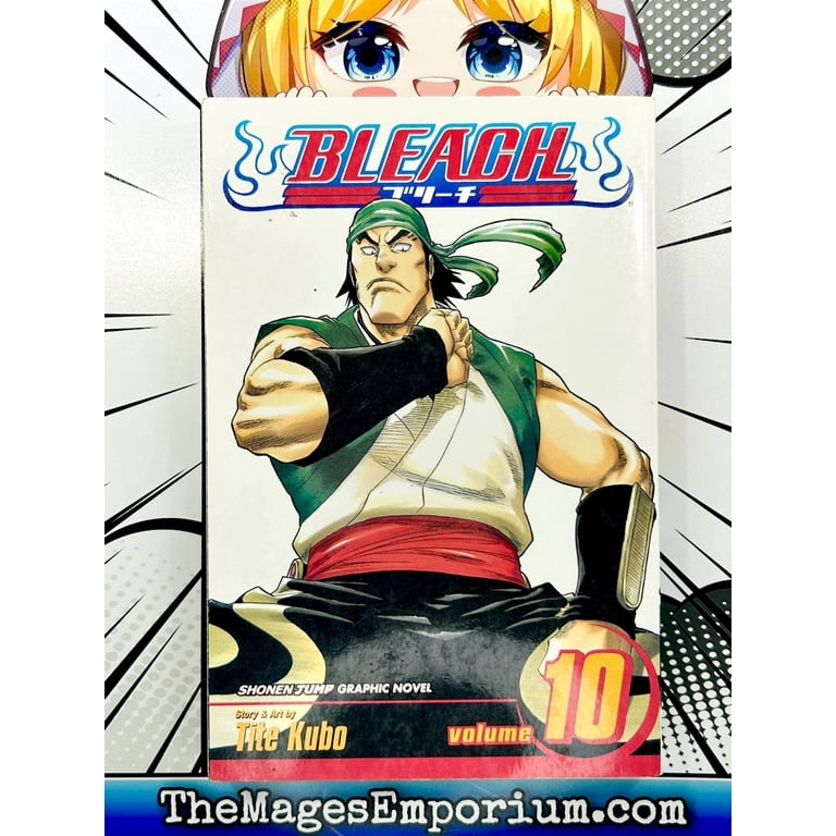 Bleach Bleach, Vol. 10, Book 10, (Paperback) - Walmart.com
