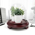thumbnail image 3 of Plymor 5.5" x 5.5" Glass Display Dome Cloche (Red Wood Veneer Footed Base), 3 of 3