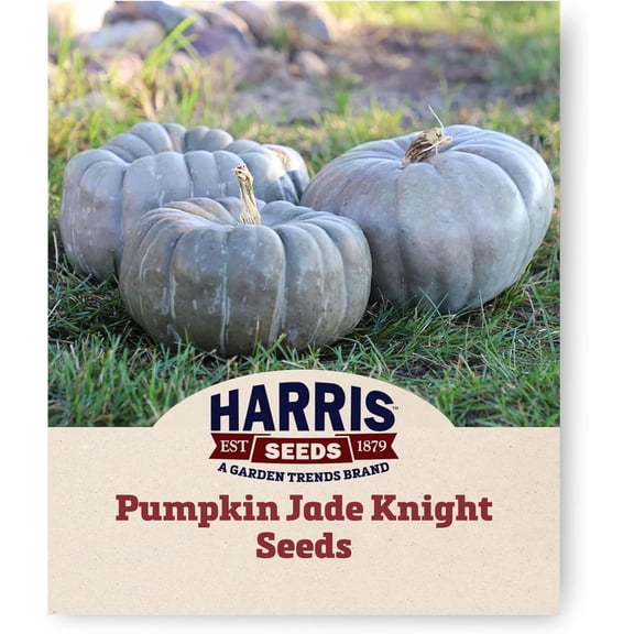 Harris Seeds - Pumpkin Jade Knight F1 - 25 Seeds
