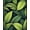 Green, Pattern 3, variant on Flatwoven High Traffic Area Rug, Summer Rainforest With Exotic Flora Motifs, Non Slip, Stain Resistant, Washable Area Rugs for Living Room, Bedroom(Green, 3X5)