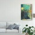thumbnail image 3 of Trademark Fine Art 'Underlying I' Canvas Art by Sue Jachimiec, 3 of 4