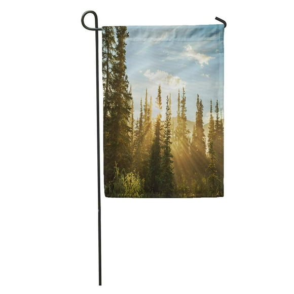 POGLIP Sunrise Sunny Beams in Forest Mountain Alaska America Nature Wood Garden Flag Decorative Flag House Banner 12x18 inch