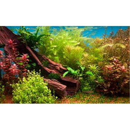 Fresh Water Plants 3d Depth Aquarium Background 20 (Best Filter For 20 Gallon Planted Tank)