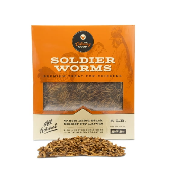 The Culinary Coop Soldier worms, Premium Treats for Chickens, 5 Pound Box