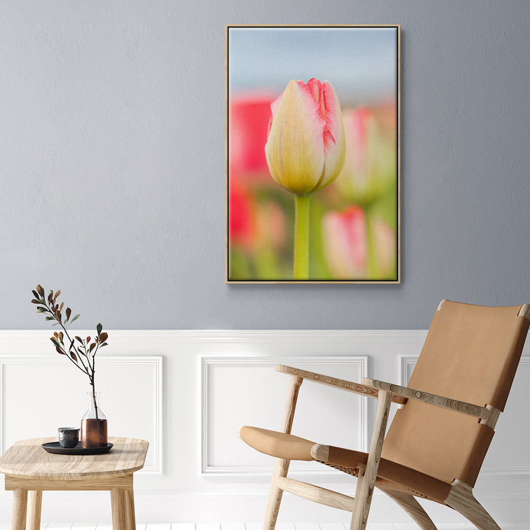 Twotone Tulip Framed Premium Gallery Wrapped Canvas - Ready to Hang