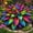 Rainbow-b, variant on Rainbow Hostas for Planting Outdoors--Easy to Grow & Quick Sprouting Garden Decoration(Non-Artificial)