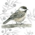 thumbnail image 3 of Wilson, Kelsey 15x15 Black Modern Framed Museum Art Print Titled - Backyard Birds II-Chickadee, 3 of 5