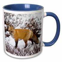 3drose, Red Fox in Winter, Churchill Wildlife Area, Churchill, Mb, Canada., 11oz Two-tone Blue Mug