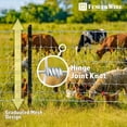 thumbnail image 2 of Fencer Wire Cattle Panel, Hog Panel, Farm Fence, Galvanized Welded Wire Fence Roll 5' x 100', 12.5/10 Gauge, Graduated Mesh (4"-9"), Animal Barrier for Cattle, 2 of 8