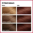 thumbnail image 3 of Revlon Colorsilk Beautiful Color Permanent Hair Dye, Dark Brown, At-Home Full Coverage Application Kit, 31 Dark Auburn, 3 Pack, 3 of 11