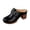 Black, variant on SBYOJLPB Sandals for Women Fashionable Casual Spring And Summer Sandals Solid Color Closed-Toe High Heels Heel Sandals