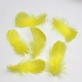 thumbnail image 4 of 100 Pcs Plumes Naturelles Créatives Bricolage Polyvalentes Artisanat Plume Déco Plume, 4 of 6