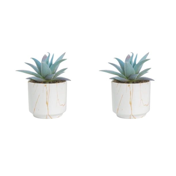 Wosthever Planta que no se marchita de 4 piezas para la decoración del hogar de bricolaje - Amplia aplicación Exquisita artesanía Buena Type7 NO7