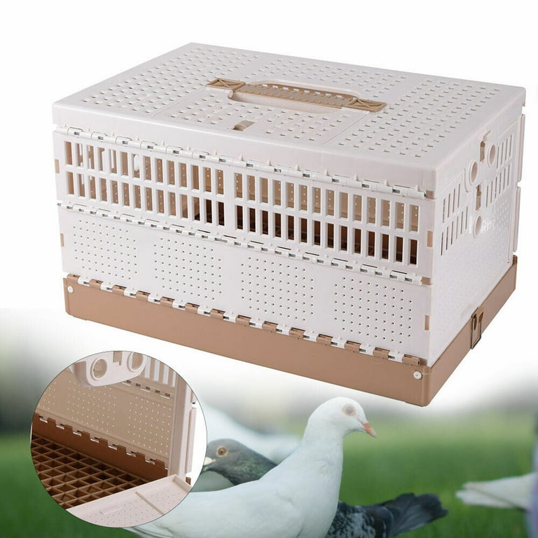 Pigeon Supplies Appliances Pigeon Training Cage Plastic 59 OFF